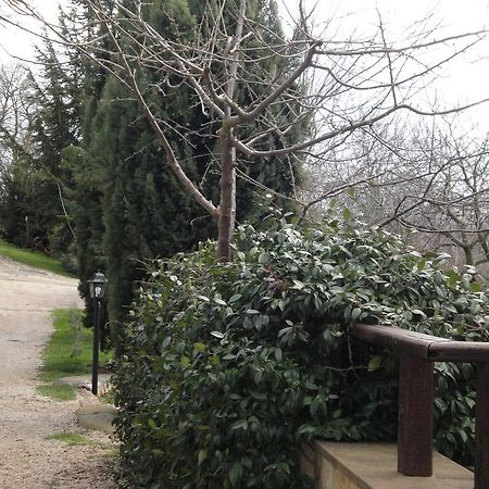 Agriturismo Le Valli Hotel Acuto Exterior foto