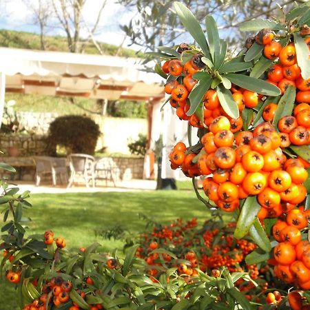 Agriturismo Le Valli Hotel Acuto Exterior foto