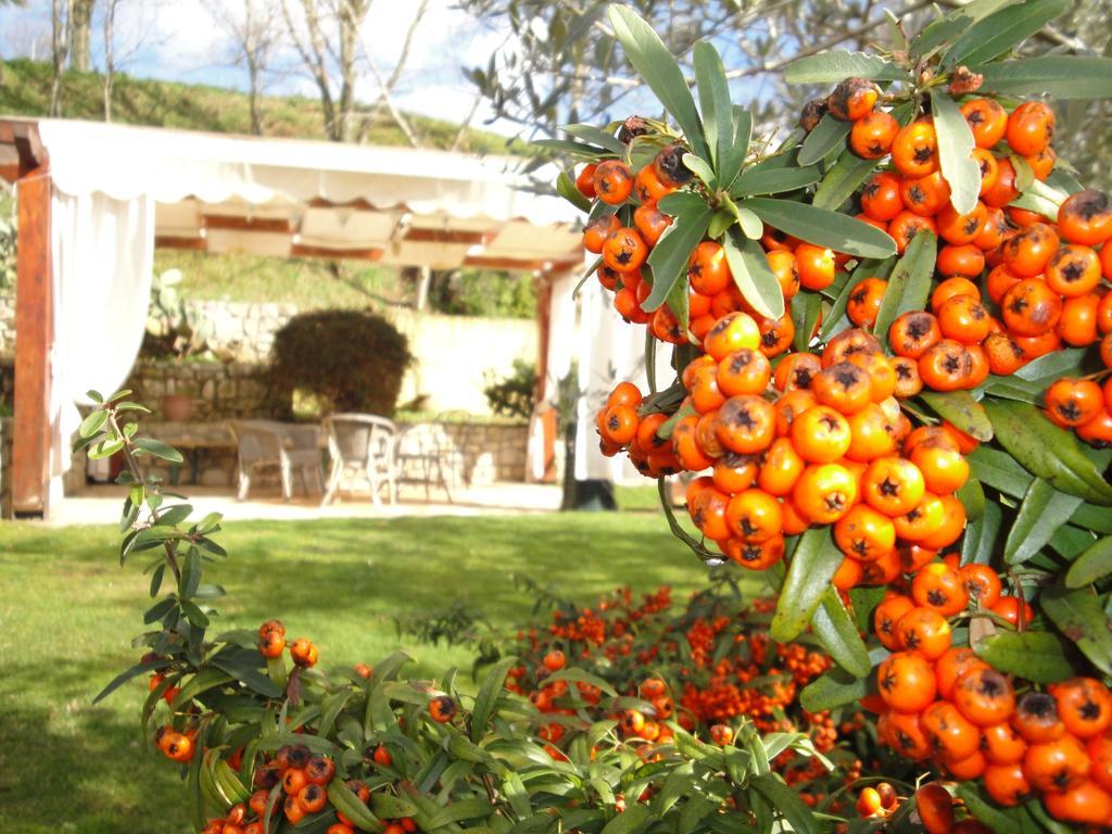 Agriturismo Le Valli Hotel Acuto Exterior foto