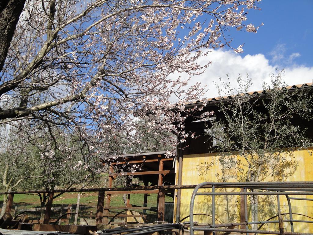Agriturismo Le Valli Hotel Acuto Exterior foto
